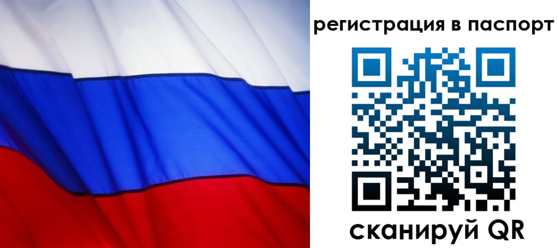 прописка 2025 в Касимове